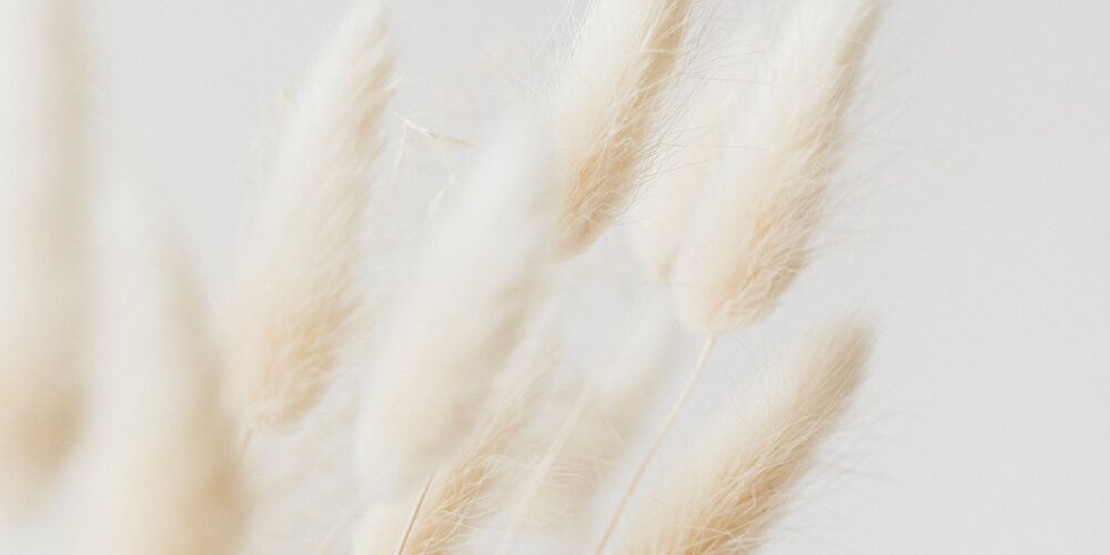 Blog-porphyrins